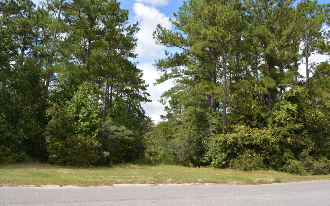 Rincon – Towne Park West 2.81 ACRES COMMERCIAL