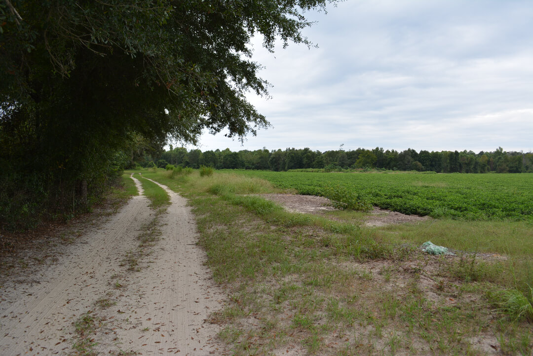 Country Farm Convenient To Savannah 23.5 acres Land Unlimited