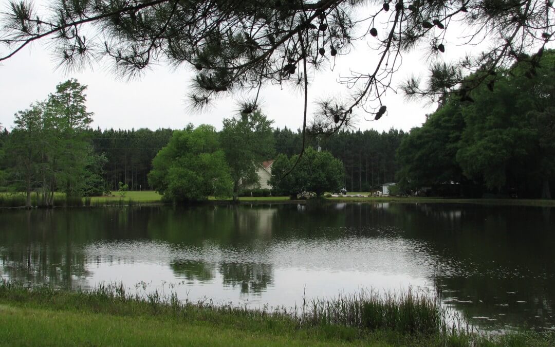 Country Living Near Statesboro *REDUCED*