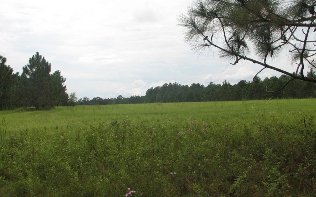 Highlands Acreage Tracts 7.56 acres