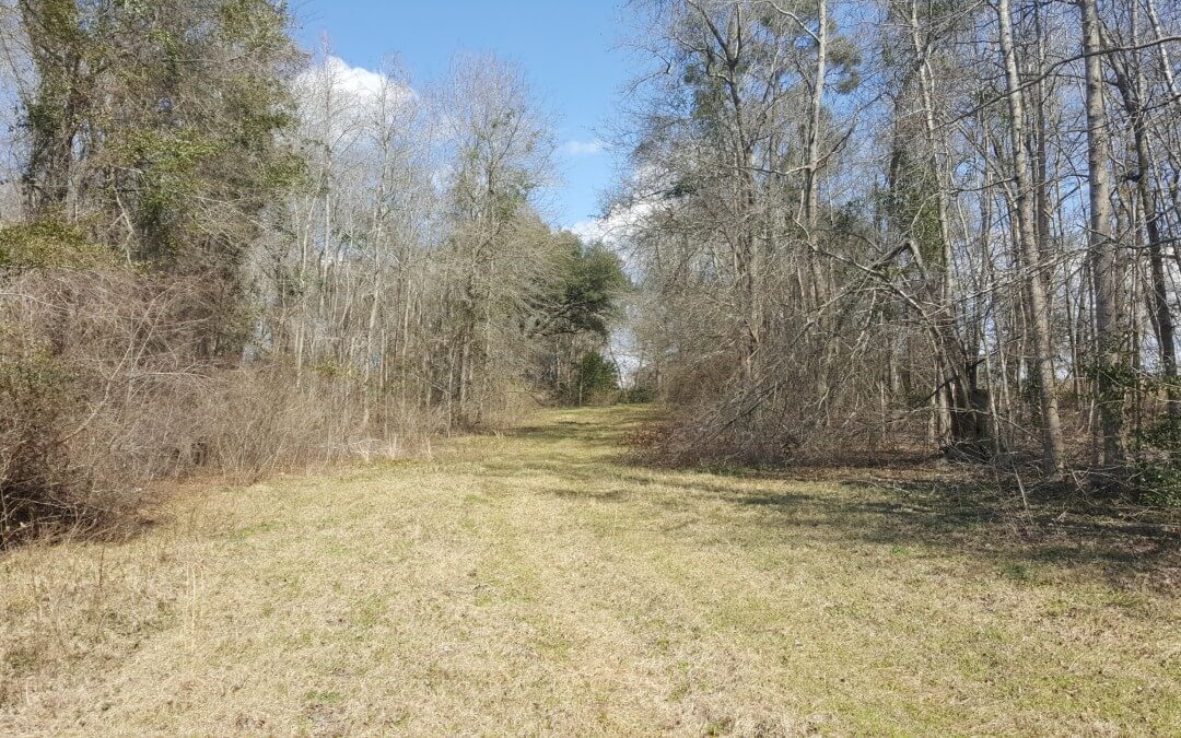 Hillside Farm 74 Acres (Under Contract)