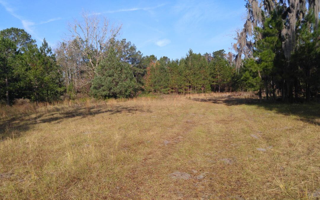 6.87 ACRES BUSINESS/ COMMERCIAL/ MULTI-FAMILY OPPORTUNITY **UNDER CONTRACT**