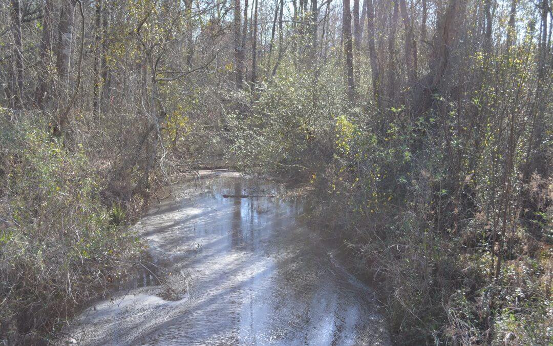 Big Branch Run