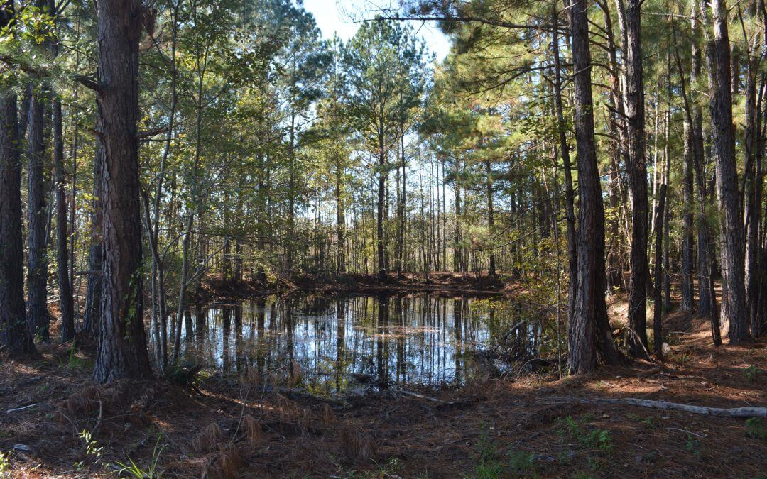 SlipAway Plantation (UNDER CONTRACT)