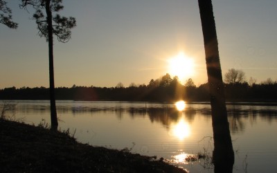 Highland Lake – 109 Acres in Bulloch County, GA