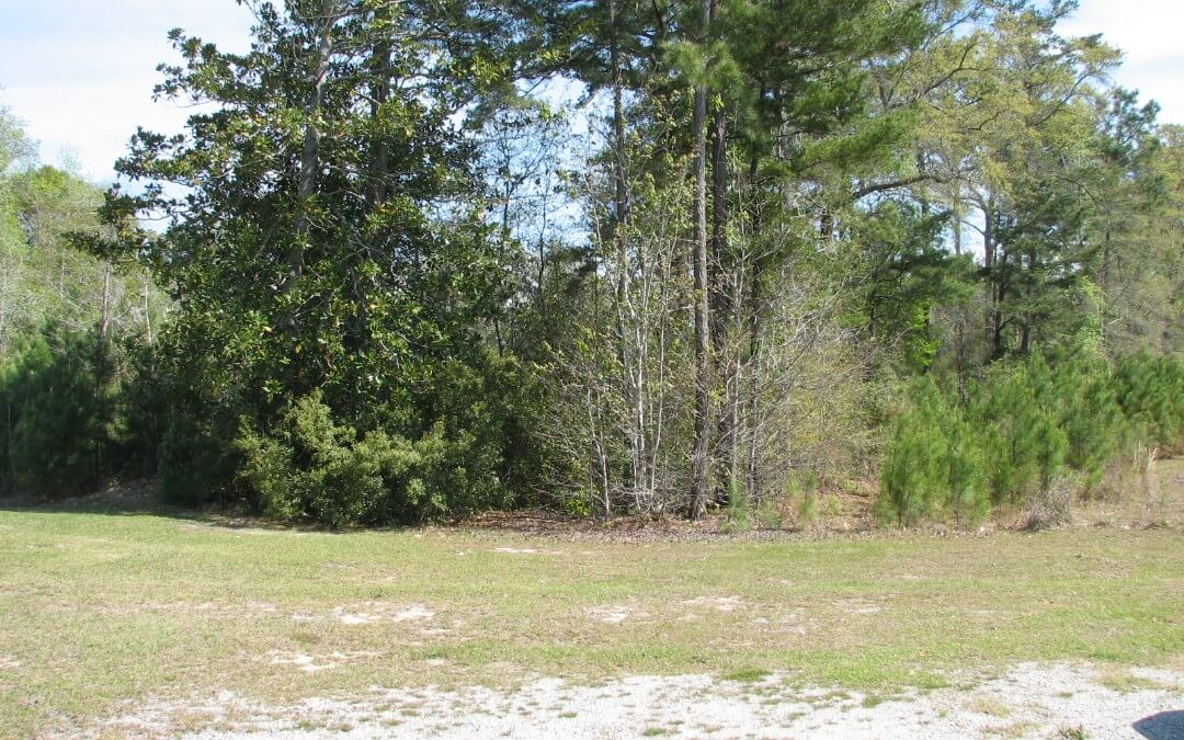 Richmond Hill Plantation Parcel – 2.42 Acres