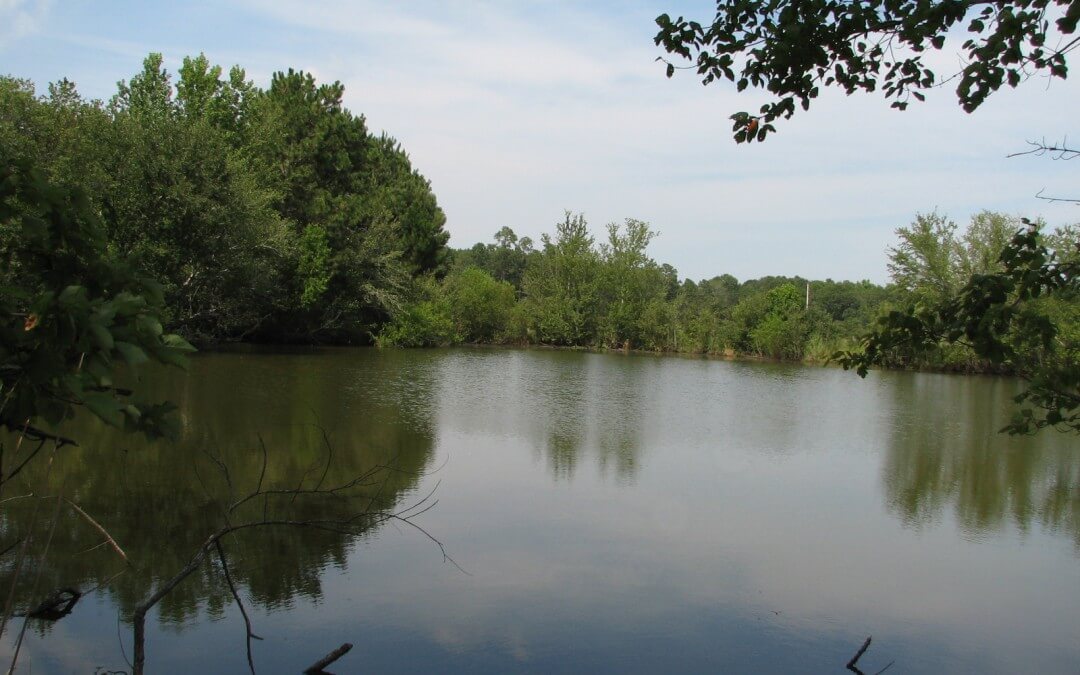 Pecan Hill Farm