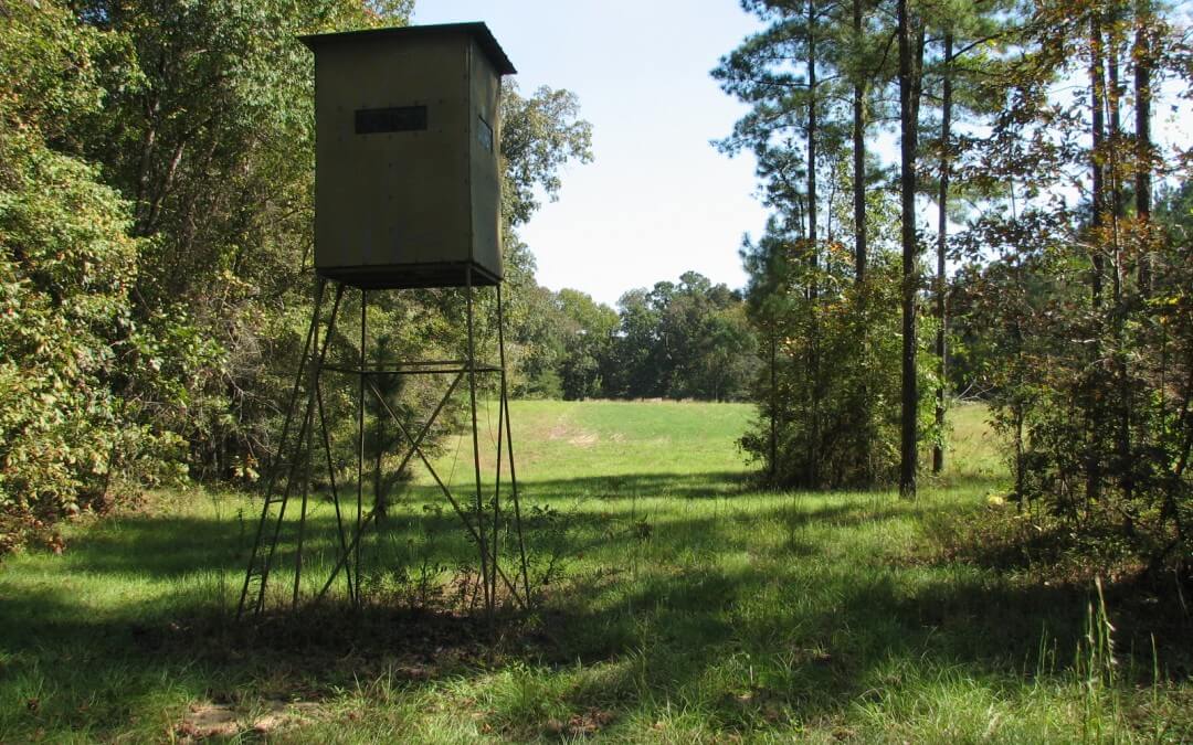 Altamaha Bluff