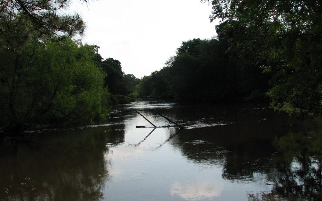Ogeechee River Escape