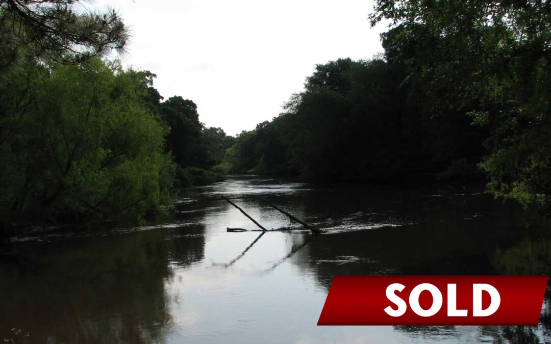 Ogeechee River Escape