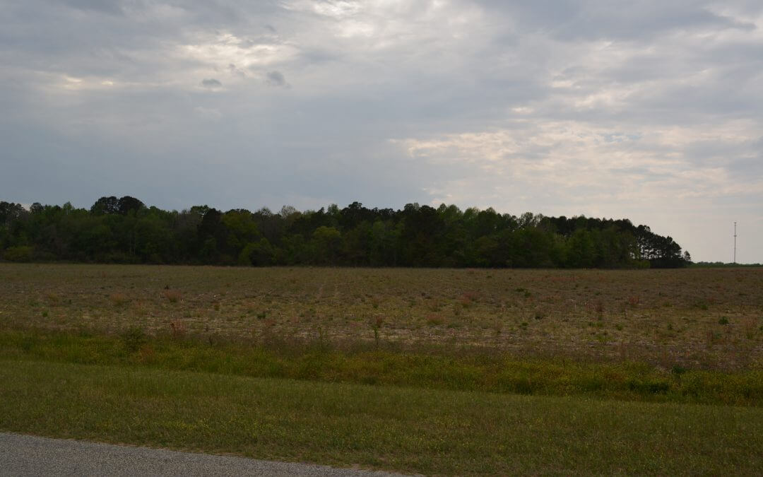 I-16 Commercial/Industrial Acreage (10ac.)- Metter