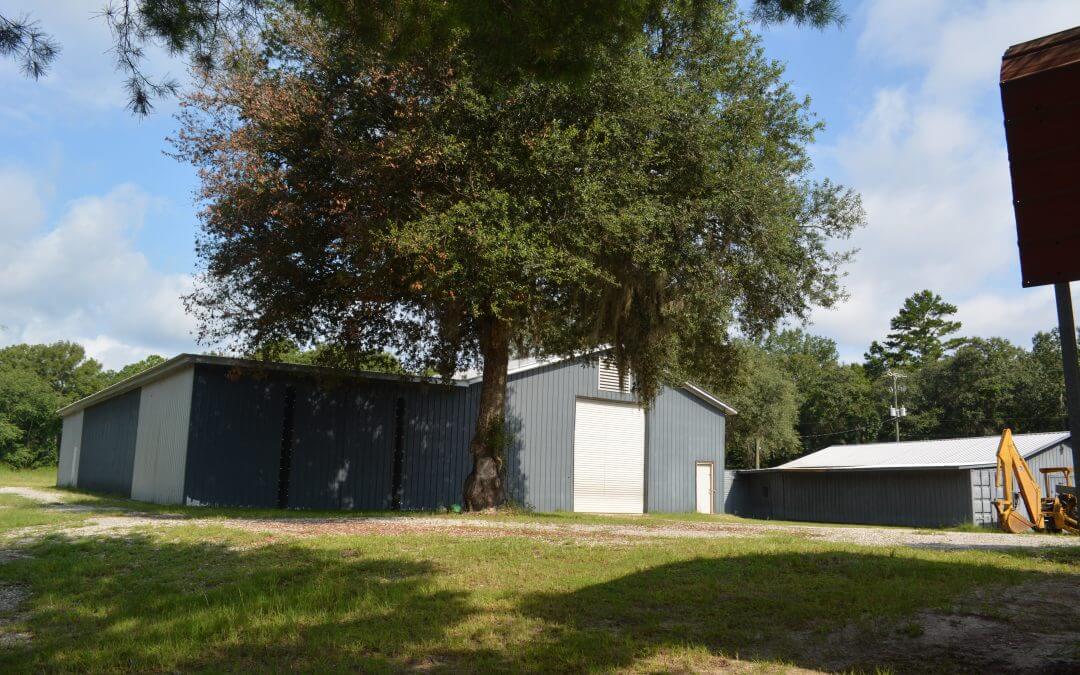 BUSINESS & HOMESITE w/ RECREATIONAL OPPORTUNITY 183 +/- Acres, Chatham County, GA