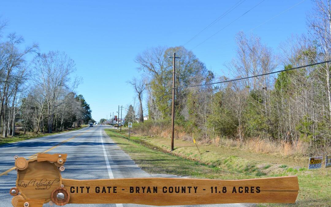 City Gate Investment Property