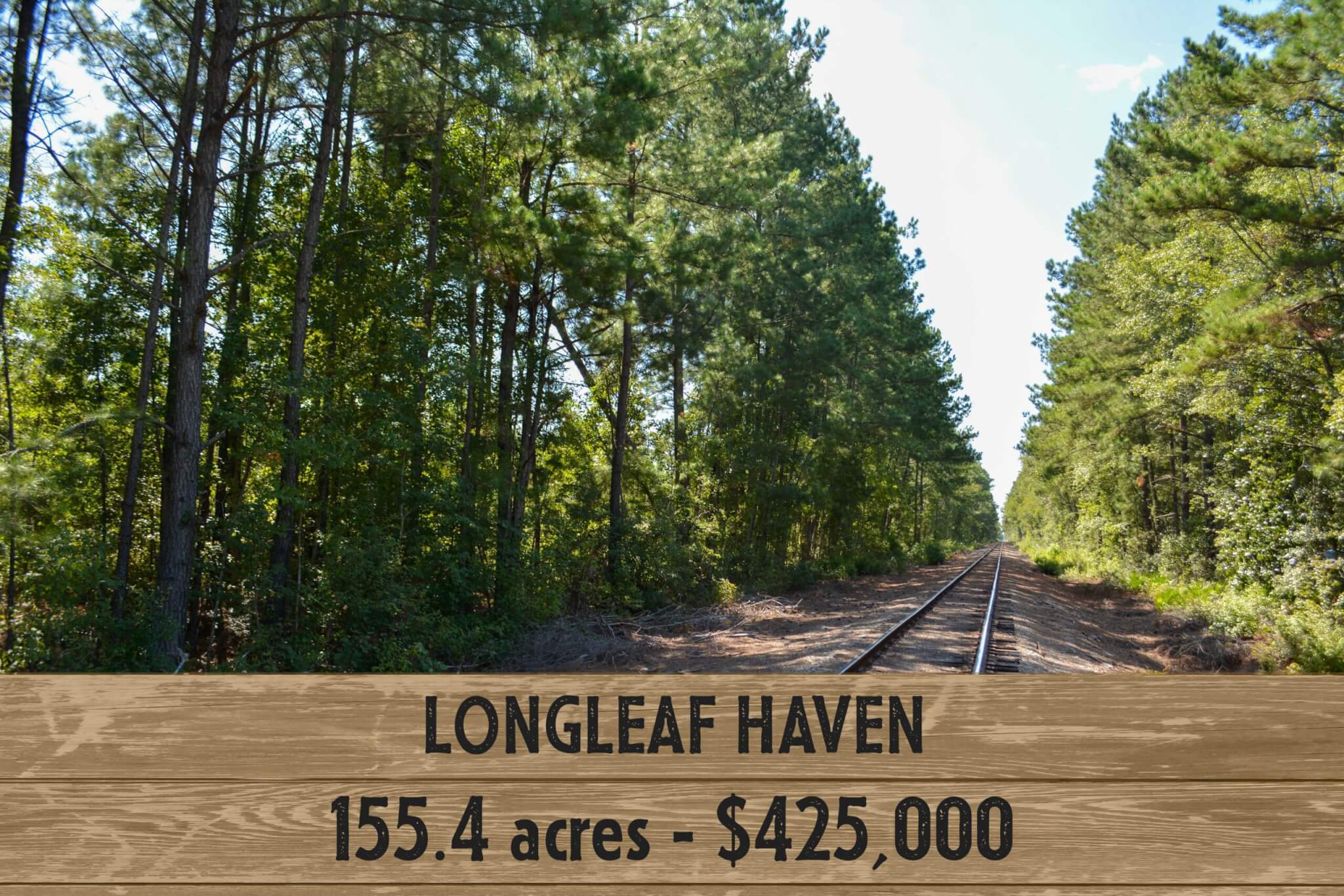 Longleaf Haven