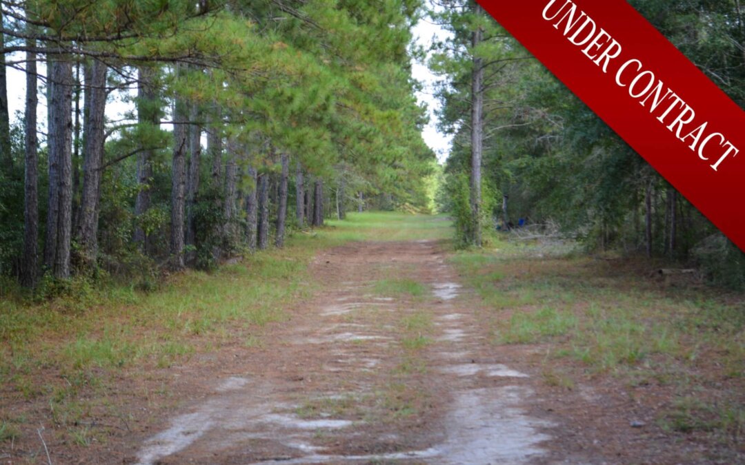 Rolling Hills – UNDER CONTRACT