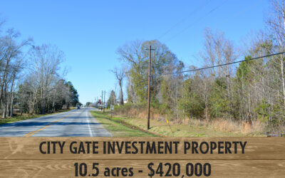 City Gate Investment Property