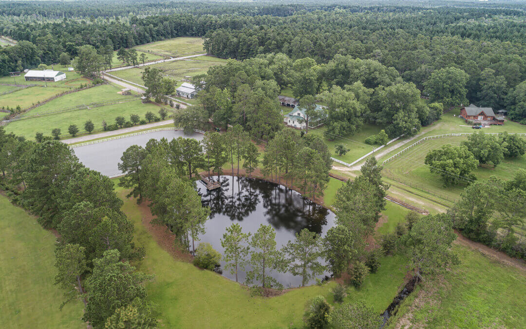 Historic Ardmore Homestead with Equestrian Facilities