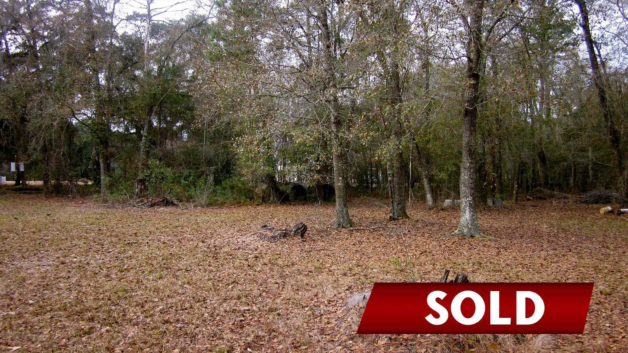 Wooded Lot in Guyton
