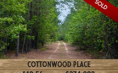Cottonwood Place