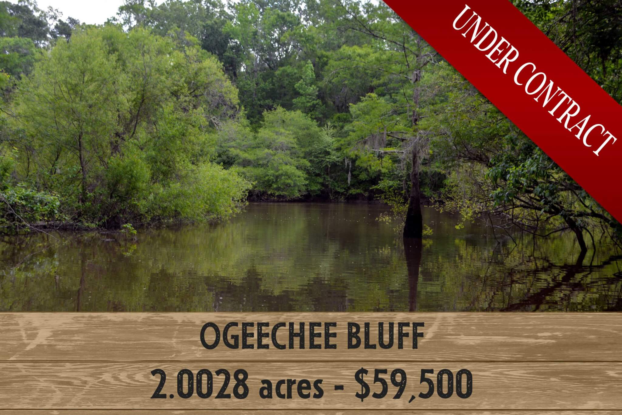Ogeechee Bluff