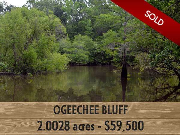 Ogeechee Bluff