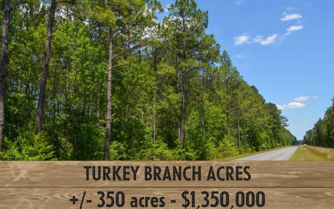 Turkey Branch Acres
