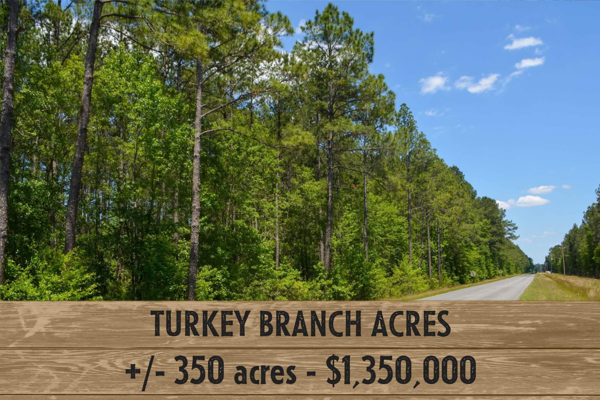 Turkey Branch Acres