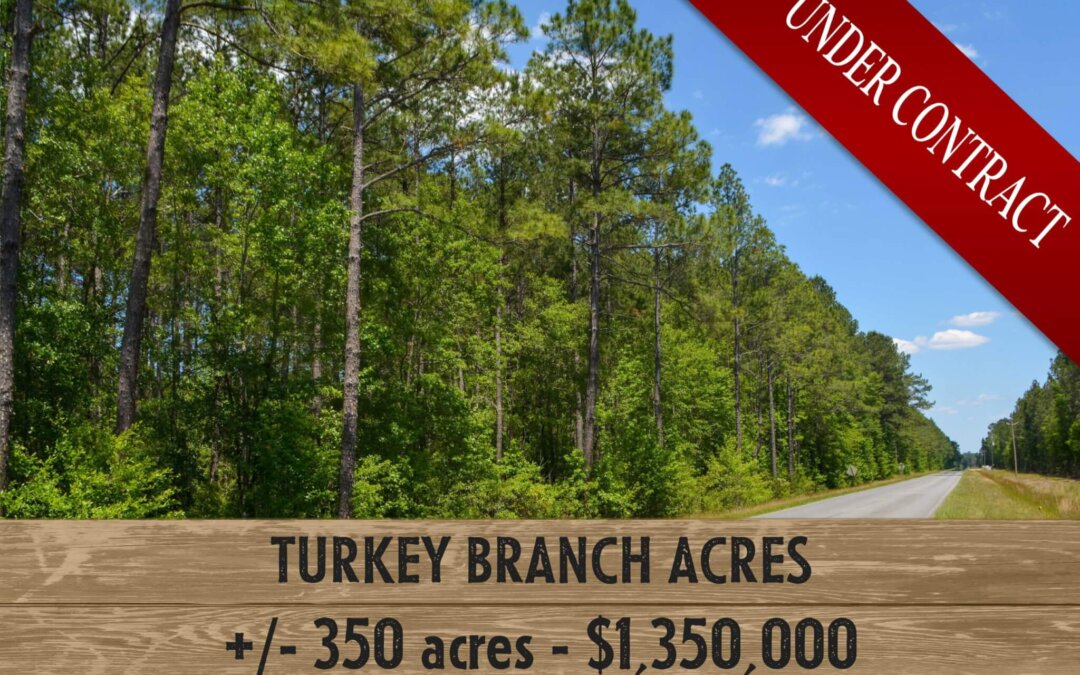 Turkey Branch Acres (UNDER CONTRACT)