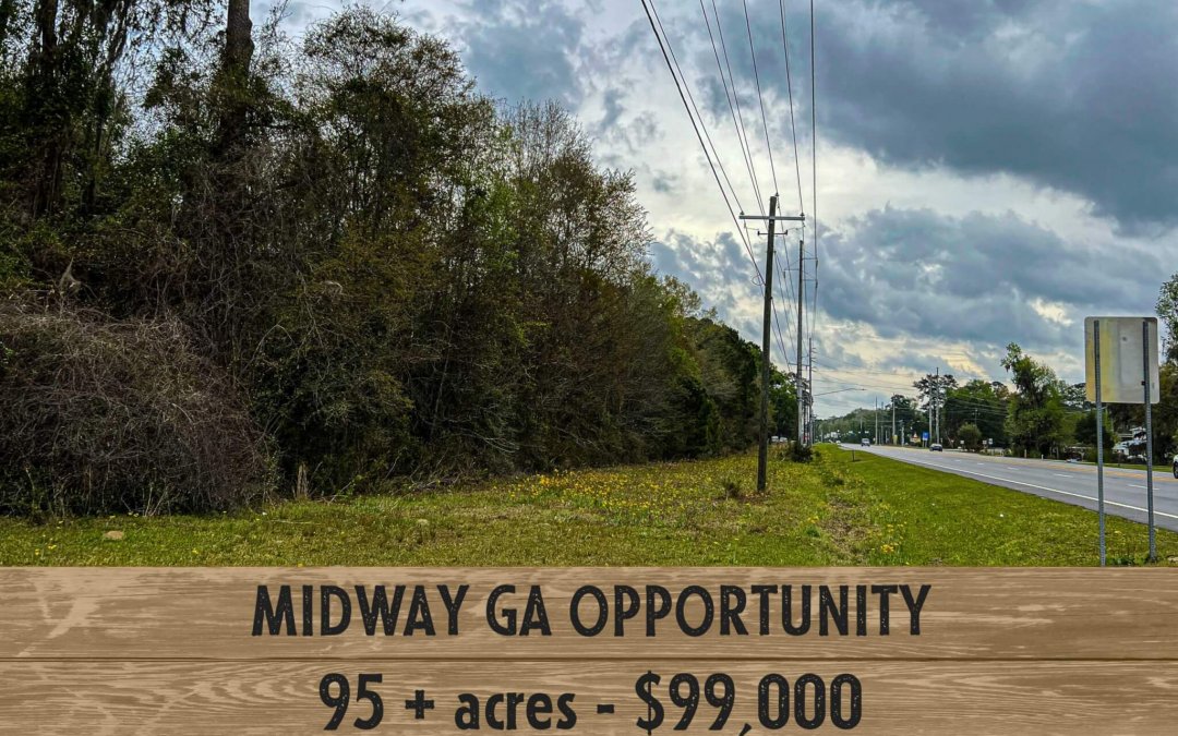 Midway GA Opportunity-                                                                                                                                                      Sold