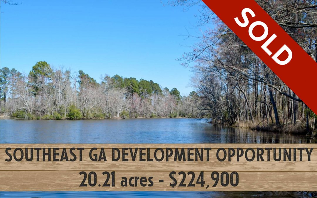 Southeast GA Development Opportunity