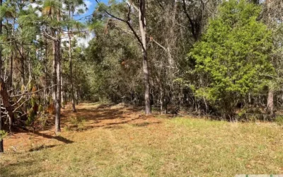 0 Leola Road, Newington, GA 30446